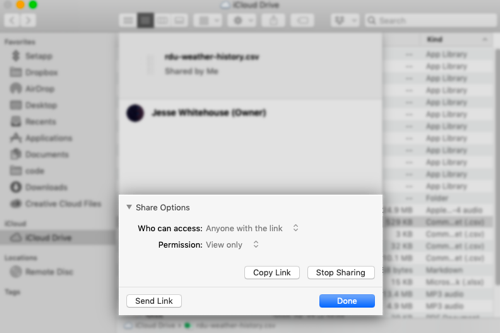 Example of iCloud Share Settings
